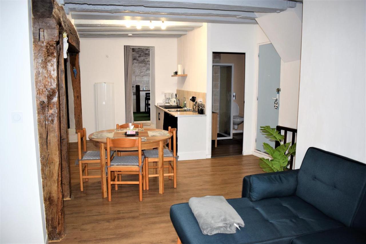 Gite Le Nid Des Zoo Zio, 5Mn Beauval, Appartement Terrasse Centre-Ville Saint-Aignan (Loir-et-Cher) Exterior foto